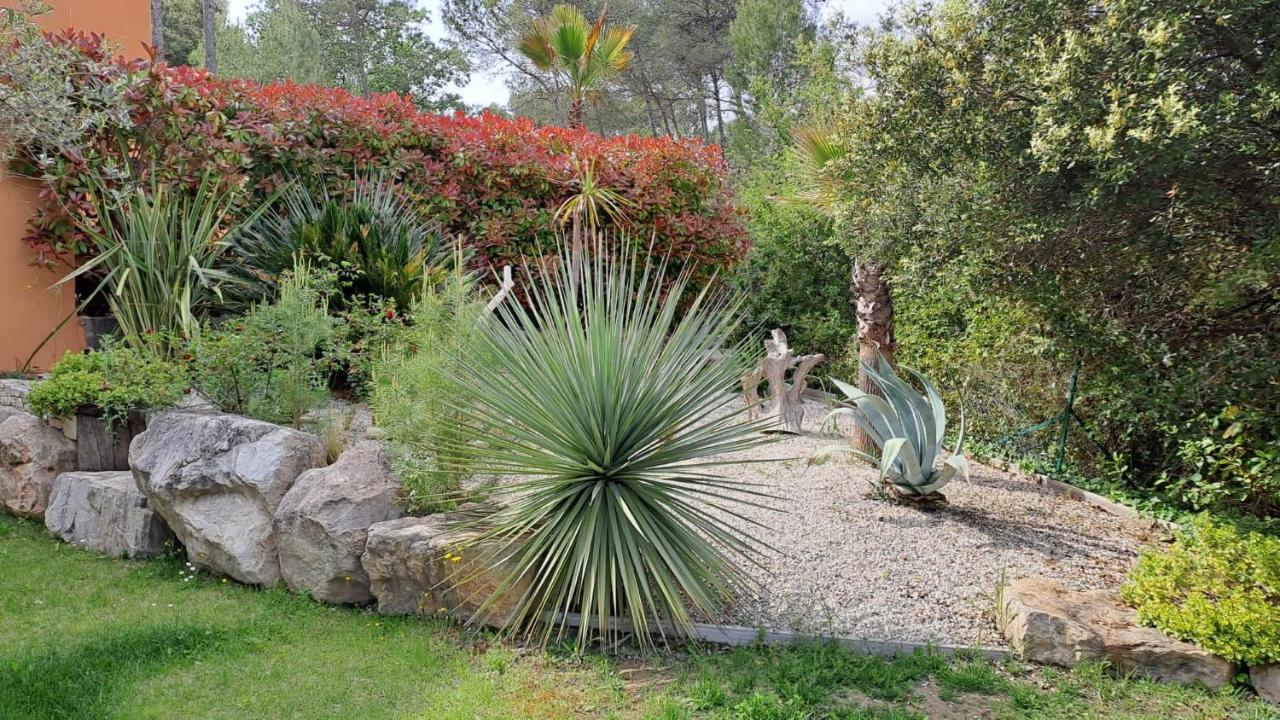Villa Palmier Avec Piscine Chauffee Privee Proche D'Uzes Et Anduze Cannes-et-Clairan Eksteriør billede